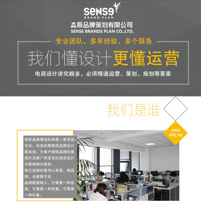 电商视觉升级，从专业设计开始——一站式详情页/整店装修/美工外包服务